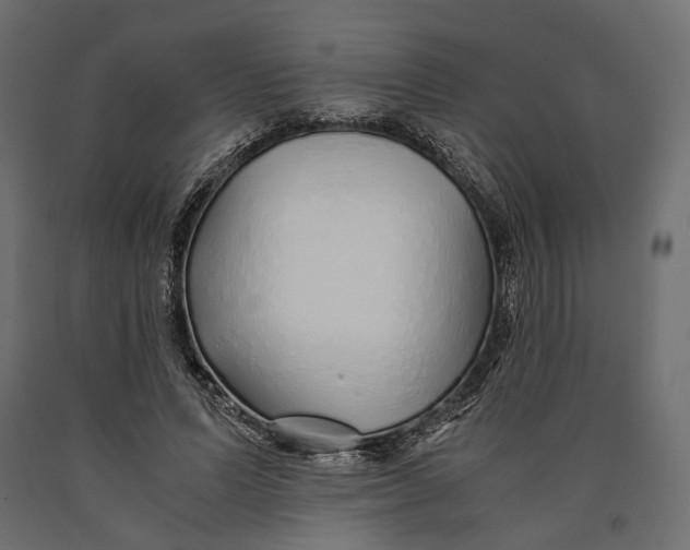 X0000090450591200708031219