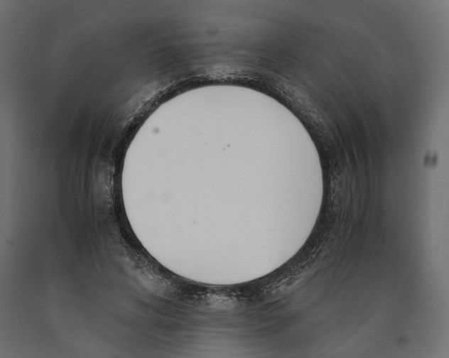 X0000090450592200708031219