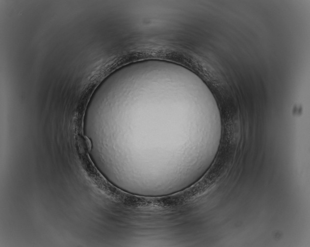 X0000090450594200708031219