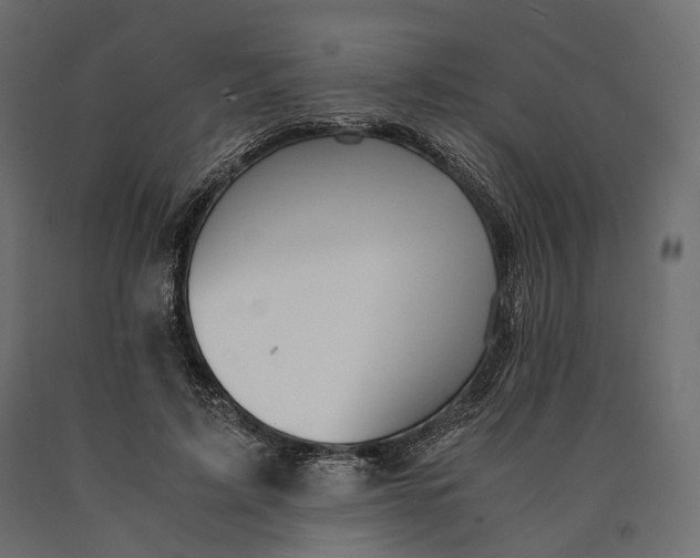 X0000090450595200708031219