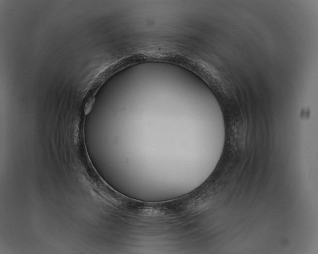 X0000090450596200708031219