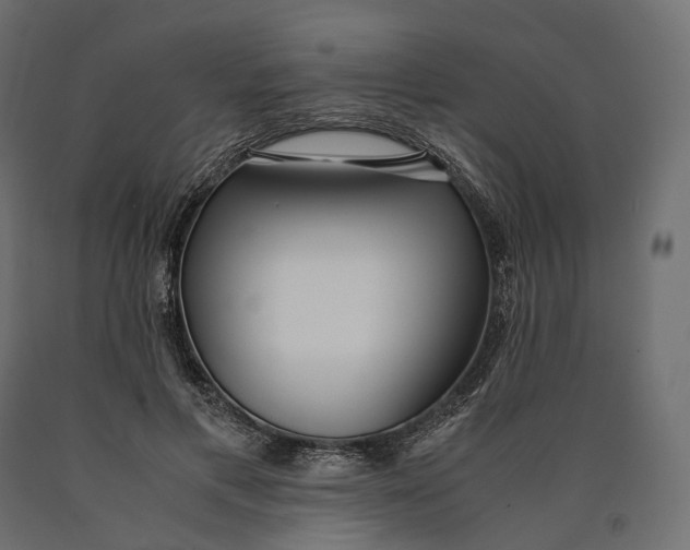 X0000090450597200708031219