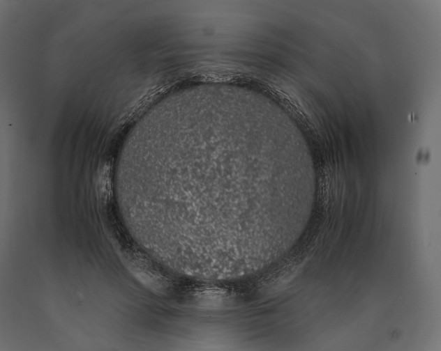 X0000090450598200708031219