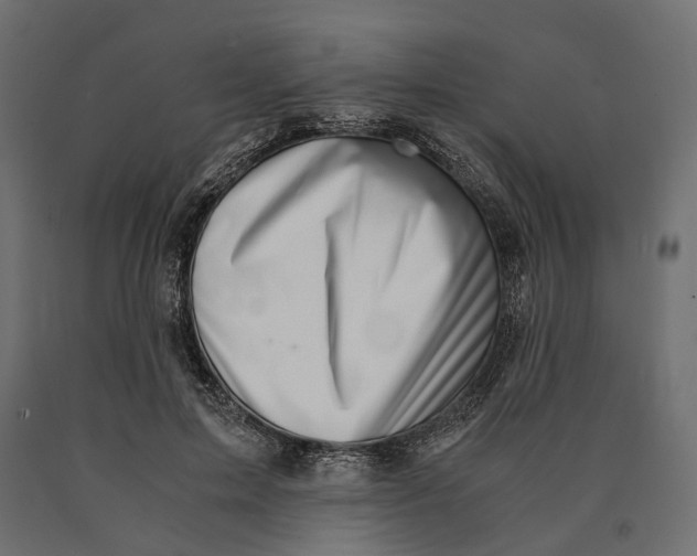 X0000090450599200708031219