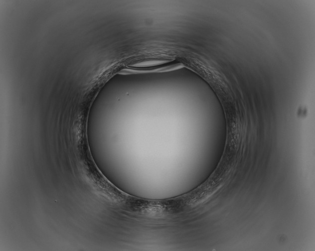 X0000090450600200708031219