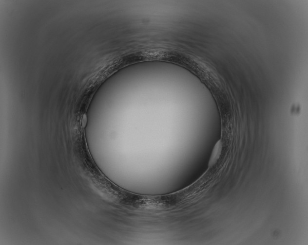 X0000090450601200708031219