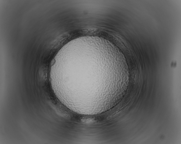 X0000090450602200708031219