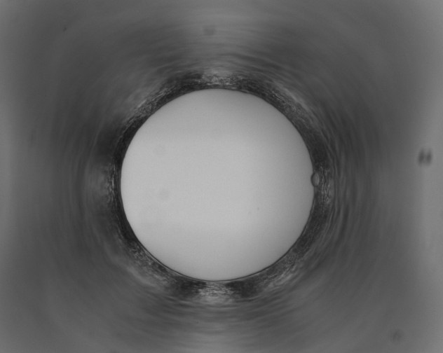 X0000090450603200708031219