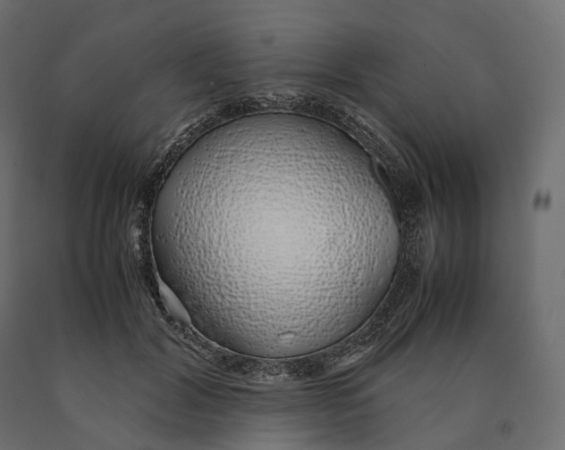 X0000090450604200708031219