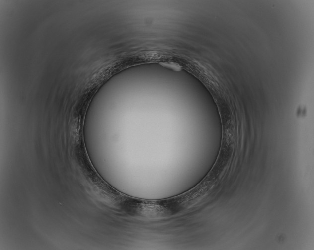 X0000090450605200708031219