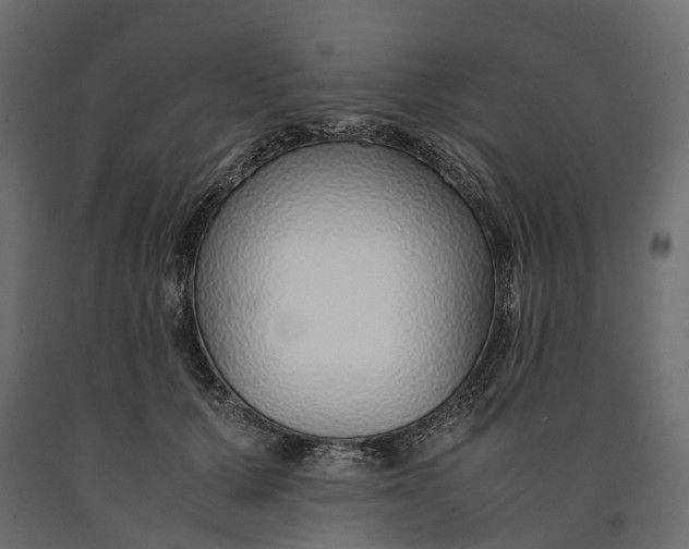 X0000090450607200708031219