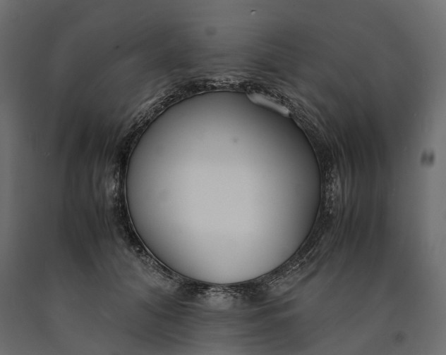 X0000090450608200708031219