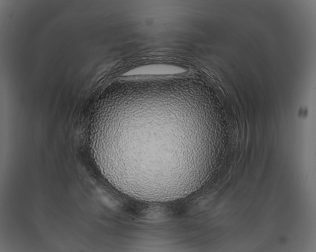 X0000090450609200708031219