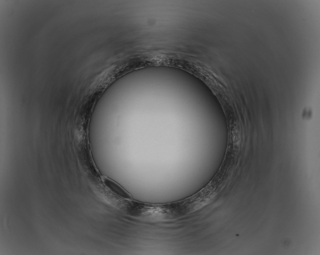 X0000090450611200708031219