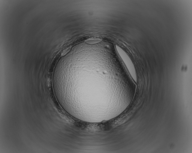 X0000090450613200708031219