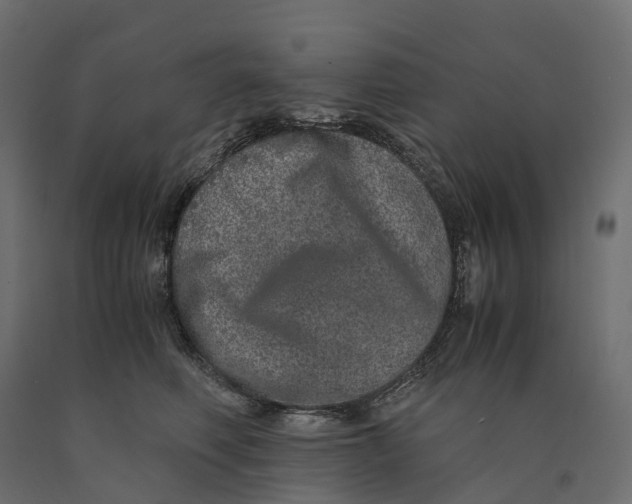 X0000090450614200708031219