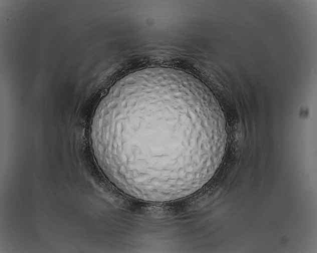 X0000090450615200708031219