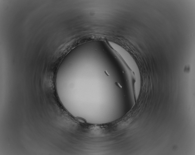 X0000090450616200708031219