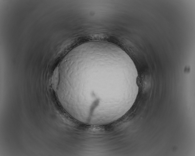 X0000090450619200708031219