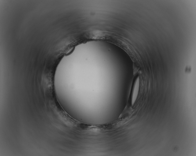 X0000090450620200708031219