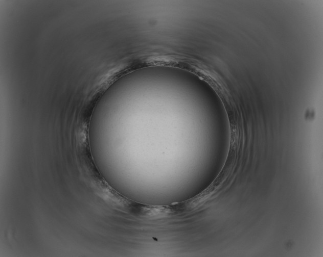 X0000090450621200708031219