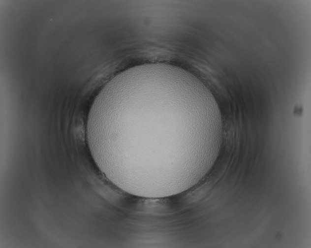 X0000090450622200708031219