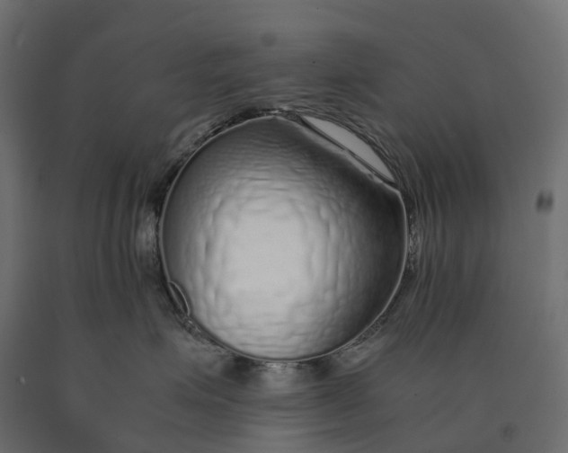 X0000090450623200708031219