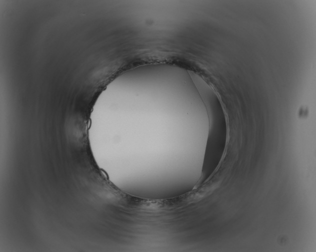 X0000090450624200708031219