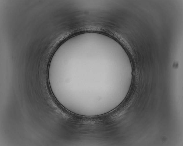 X0000090450625200708031218