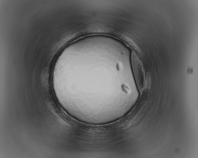 X0000090450627200708031218