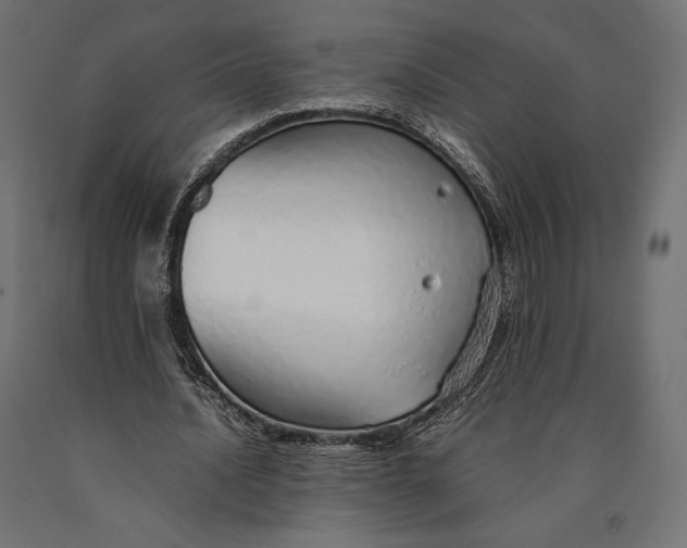 X0000090450628200708031218