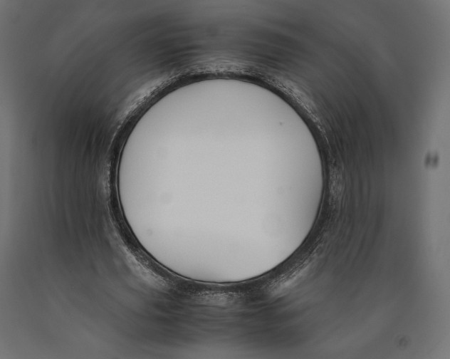 X0000090450629200708031218