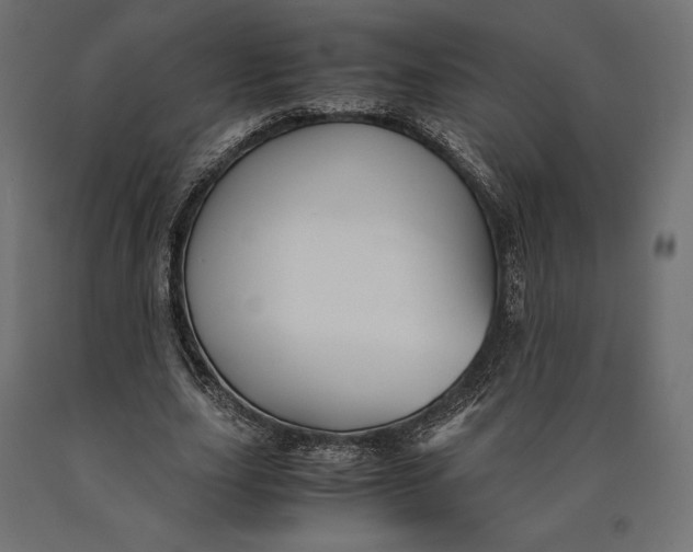 X0000090450631200708031218