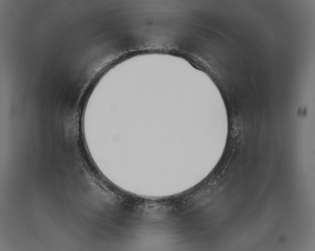 X0000090450632200708031218