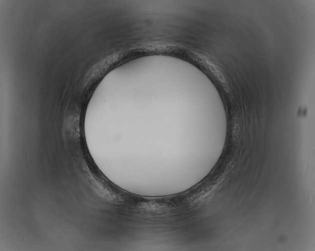 X0000090450633200708031218