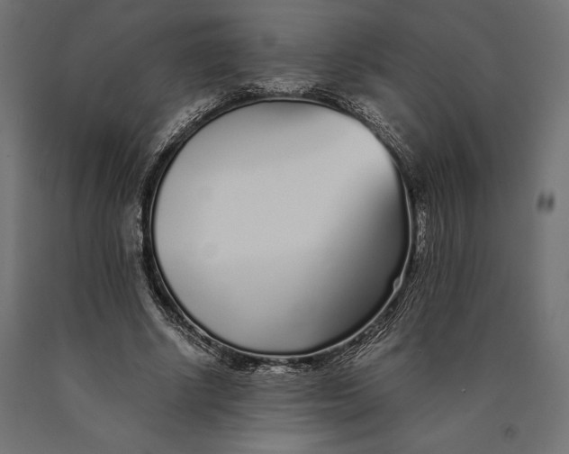 X0000090450634200708031218