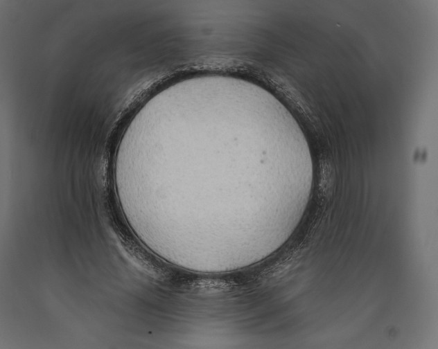 X0000090450636200708031218