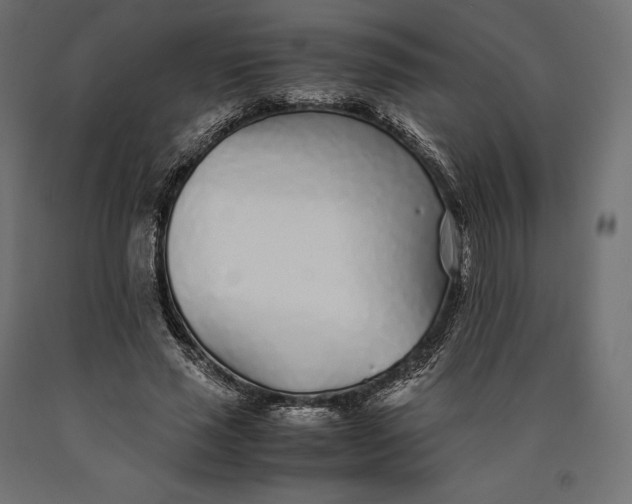 X0000090450637200708031218