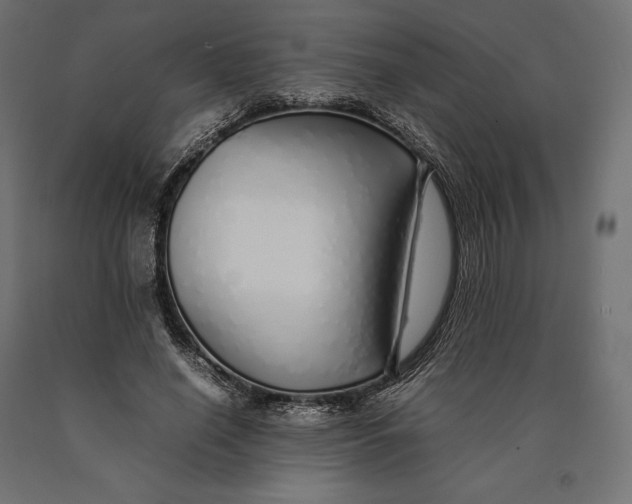 X0000090450638200708031218