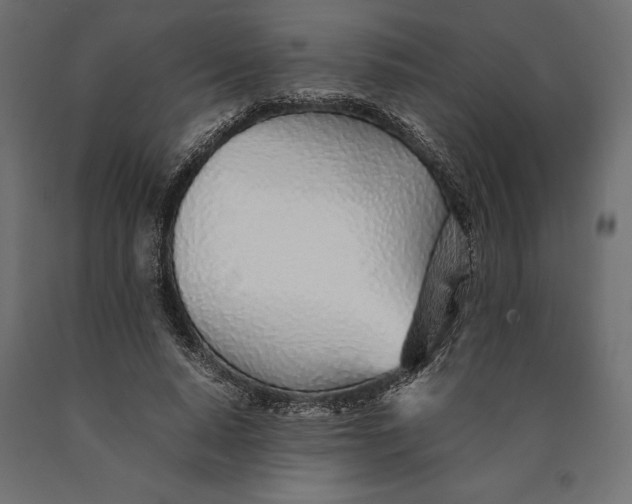 X0000090450640200708031218