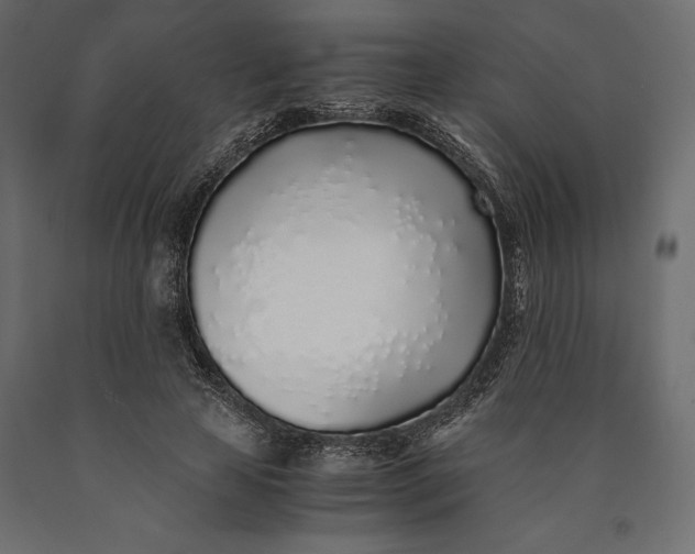 X0000090450641200708031218