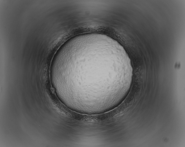 X0000090450642200708031218