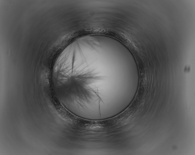 X0000090450643200708031218