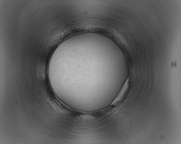 X0000090450644200708031218