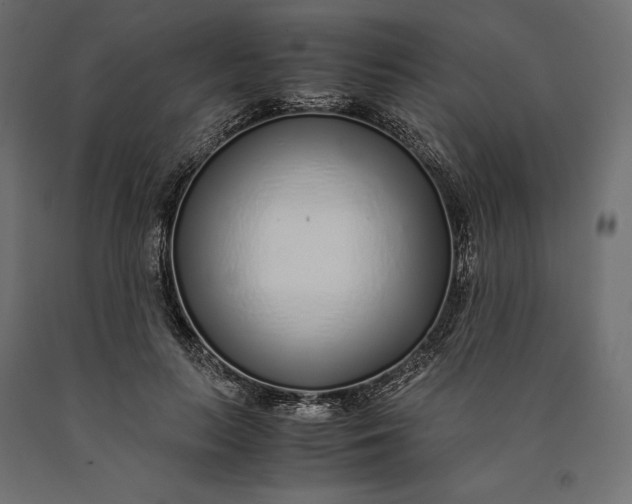 X0000090450647200708031218