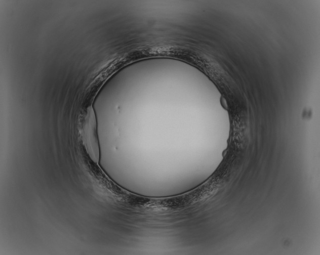 X0000090450648200708031218