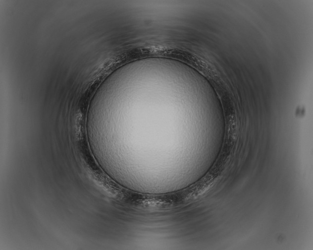 X0000090450650200708031218