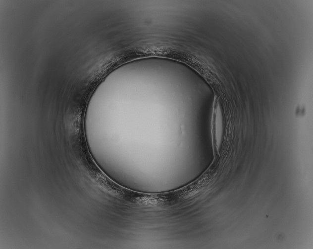 X0000090450652200708031218