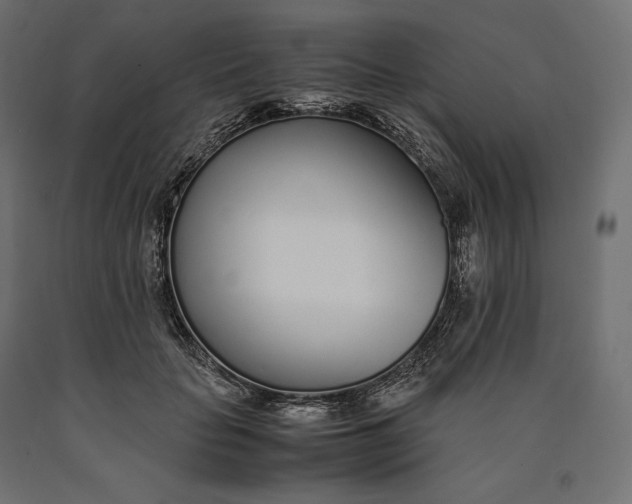 X0000090450653200708031218