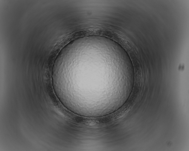 X0000090450654200708031218